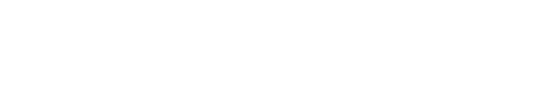 evoJets logo