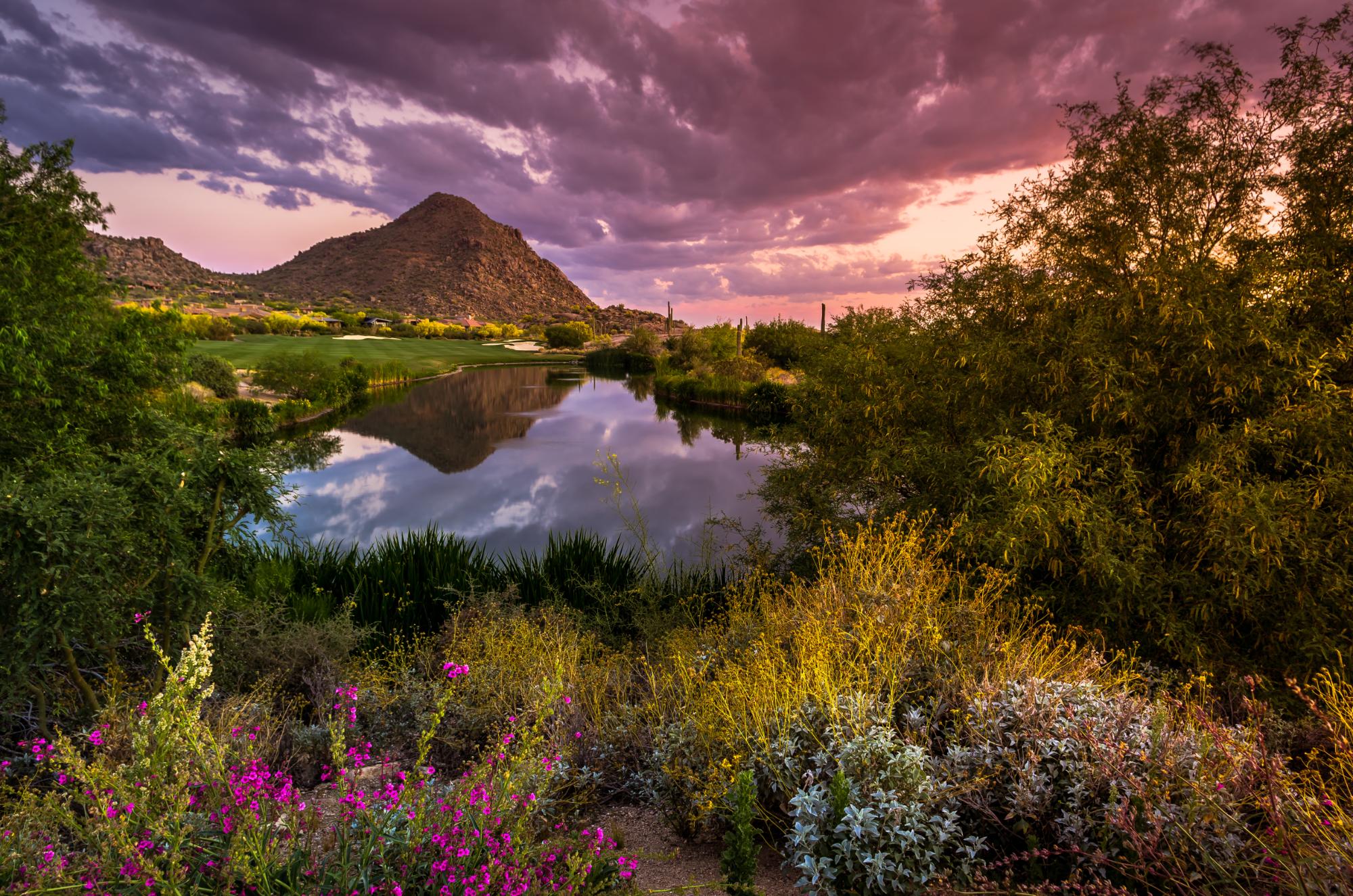 Top Golfing Getaways in Scottsdale and Miami