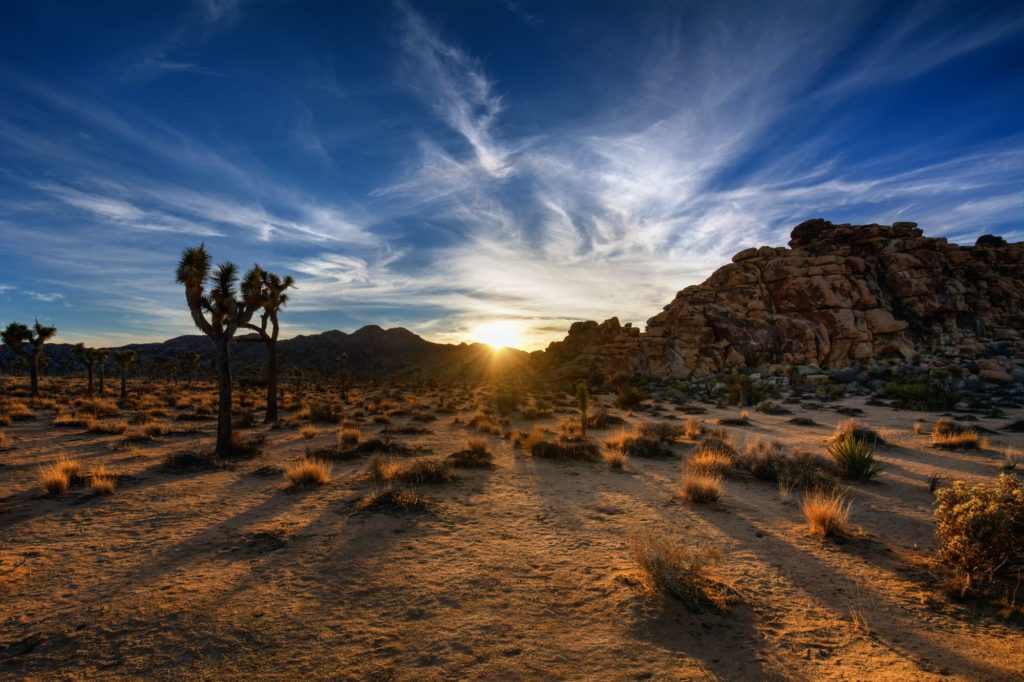 PSP Private Jet Charter Flights to Palm Springs International Airport